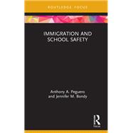 Immigration and School Safety