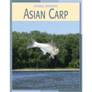 Asian Carp