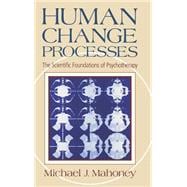 Human Change Process The Scientific Foundations Of Psychotherapy