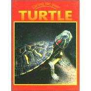 Caring for Your Turtle