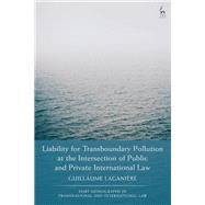 Liability for Transboundary Pollution at the Intersection of Public and Private International Law