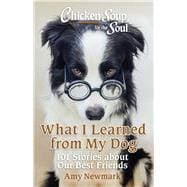 Chicken Soup for the Soul: What I Learned from My Dog 101 Stories about Our Best Friends