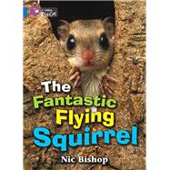 The Fantastic Flying Squirrel Workbook