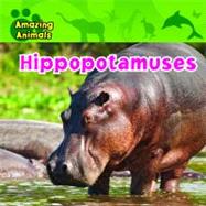 Hippopotamuses