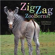 ZigZag ZooBorns! Zoo Baby Colors and Patterns