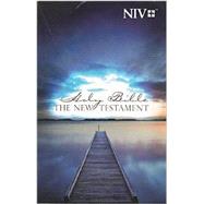 New Testament: New International Version, Outreach, Blue Pier