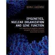 Epigenetics, Nuclear Organization & Gene Function With implications of epigenetic regulation and genetic architecture for human development and health