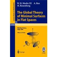 The Global Theory of Minimal Surfaces in Flat Spaces