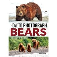 How to Photograph Bears The Beauty of the Beast