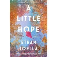 A Little Hope A Novel