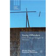 Young Offenders Crime, Prison and Struggles for Desistance