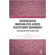 Interrogating Marginalities across Disciplinary Boundaries