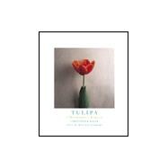 Tulipa : A Photographer's Botanical