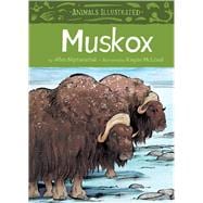 Animals Illustrated: Muskox (English)