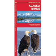 Alaska Birds A Folding Pocket Guide to Familiar Species