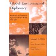 Global Environmental Diplomacy