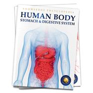 Human Body Stomach And Digestive System