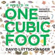 A World in One Cubic Foot