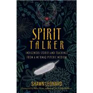 Spirit Talker Indigenous Stories and Teachings from a Mikmaq Psychic Medium