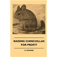 Raising Chinchillas For Profit