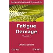 Mechanical Vibration and Shock Analysis, Fatigue Damage