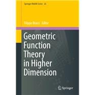 Geometric Function Theory in Higher Dimension