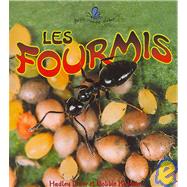 Les Fourmis / The Life Cycle of an Ant
