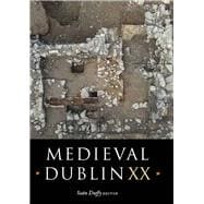 Medieval Dublin XX