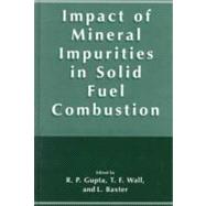 Impact of Mineral Impurities in Solid Fuel Combustion