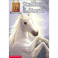 Animal Ark Hauntings #1 Stallion In The Storm