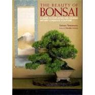 The Beauty of Bonsai A Guide to Displaying and Viewing Nature's Exquisite Sculpture