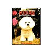 The Bichon Frise Today