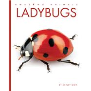 Ladybugs book cover, ISBN 9798896801269