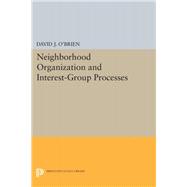 Neighborhood Organization and Interest-group Processes