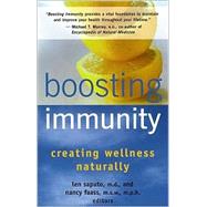 Boosting Immunity Creating Wellness Naturally