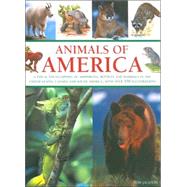 Animals of America A Visual Encyclopedia of Amphibians, Reptiles and Mammals  of the United States, Canada and South America.