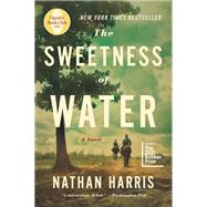 The Sweetness of Water A Novel