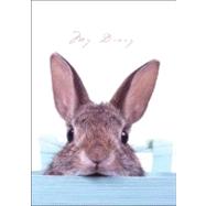 Lock-Up Diary - Sneaky Bunny