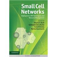 Small Cell Networks