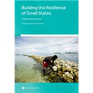 Building the Resilience of Small States A Revised Framework