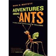 Adventures Among Ants