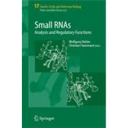 Small RNAs
