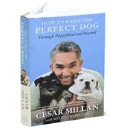 How to Raise the Perfect Dog