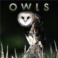 Owls 2004 Calendar