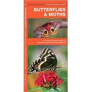 Butterflies & Moths A Folding Pocket Guide to Familiar North American Species