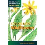 Colorado Wildflowers Montane Zone