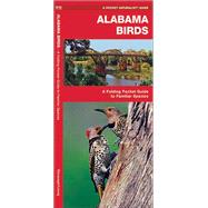 Alabama Birds A Folding Pocket Guide to Familiar Species