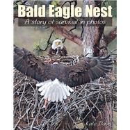 Bald Eagle Nest A Story of Survival in Photos