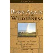 Born Again and Still in the Wilderness : Making the Journey from the Wilderness into the Promised Land