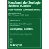 Coleoptera, Beetles